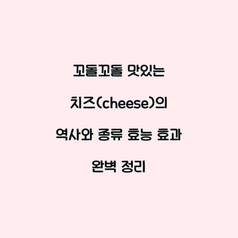꼬돌꼬돌 맛있는 치즈(cheese)의 역사와 종류 효능 효과 완벽 정리