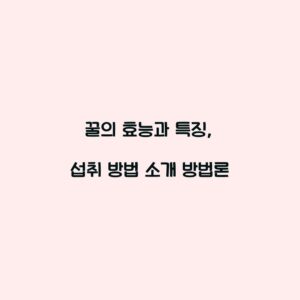 꿀의 효능과 특징, 섭취 방법 소개 방법론
