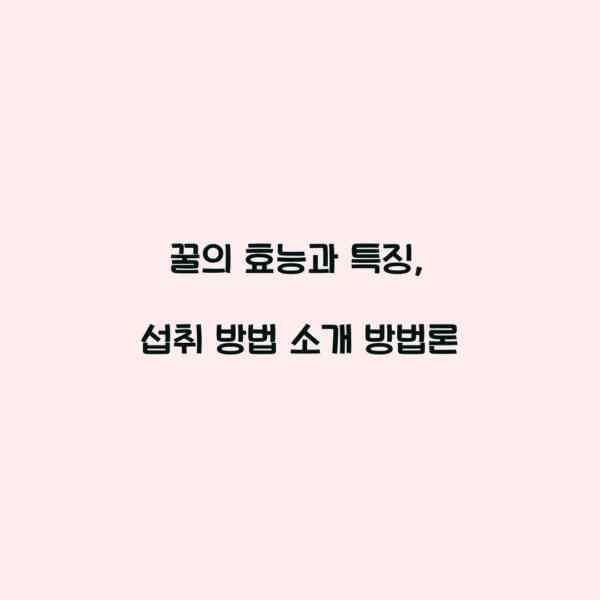 꿀의 효능과 특징, 섭취 방법 소개 방법론