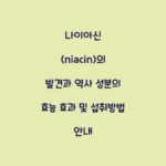 나이아신 (niacin)의 발견과 역사 성분의 효능 효과 및 섭취방법 안내