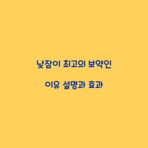 낮잠이 최고의 보약인 이유 설명과 효과