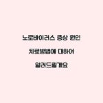 노로바이러스 증상 원인 치료방법에 대하여 알려드릴게요