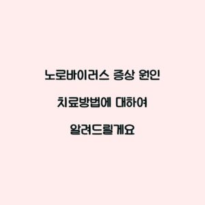 노로바이러스 증상 원인 치료방법에 대하여 알려드릴게요