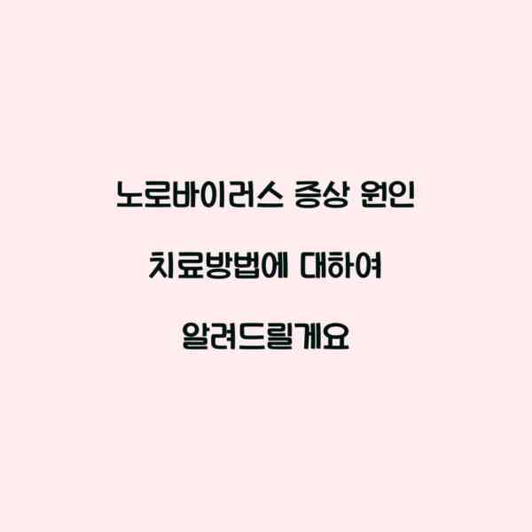 노로바이러스 증상 원인 치료방법에 대하여 알려드릴게요