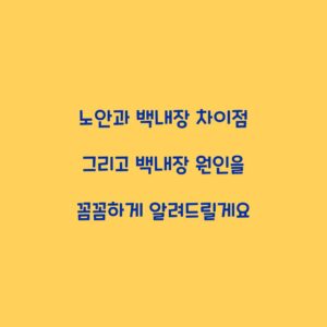 노안과 백내장 차이점 그리고 백내장 원인을 꼼꼼하게 알려드릴게요