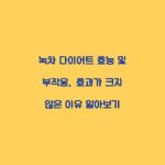 녹차 다이어트 효능 및 부작용, 효과가 크지 않은 이유 알아보기