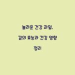 놀라운 건강 과일, 감의 효능과 건강 영향 정리