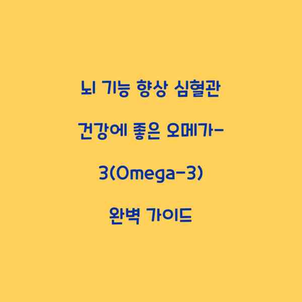 뇌 기능 향상 심혈관 건강에 좋은 오메가-3(Omega-3) 완벽 가이드