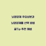 뇌영양제 주요성분과 뇌영양제를 선택 방법 꿀Tip 추천 해법