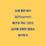 눈에 좋은 음식 당근(carrot) 발견과 역사 그리고 당근에 포함된 영양소 탐구하기