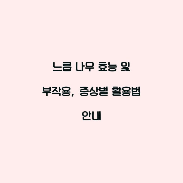 느릅 나무 효능 및 부작용, 증상별 활용법 안내