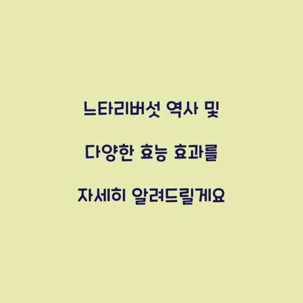 느타리버섯 역사 및 다양한 효능 효과를 자세히 알려드릴게요