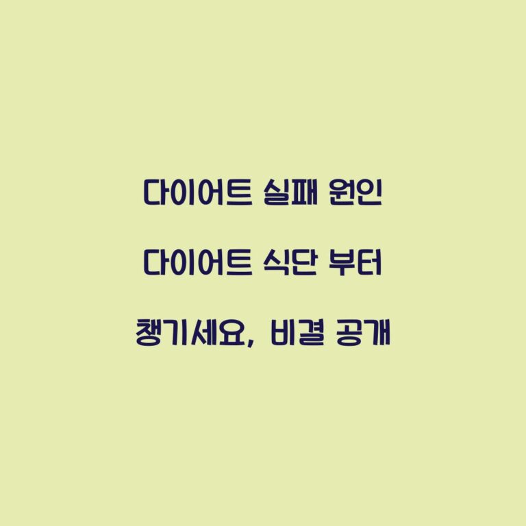 다이어트 실패 원인 다이어트 식단 부터 챙기세요, 비결 공개