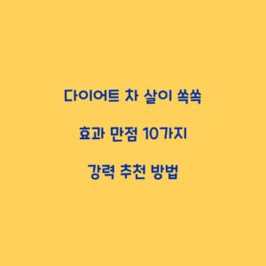 다이어트 차 살이 쏙쏙 효과 만점 10가지 강력 추천 방법