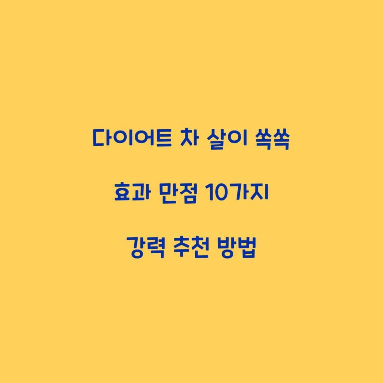 다이어트 차 살이 쏙쏙 효과 만점 10가지 강력 추천 방법