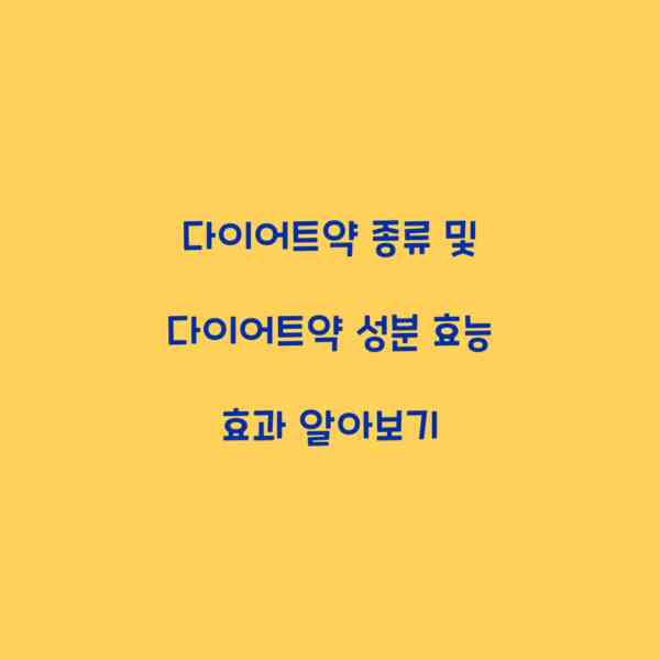 다이어트약 종류 및 다이어트약 성분 효능 효과 알아보기