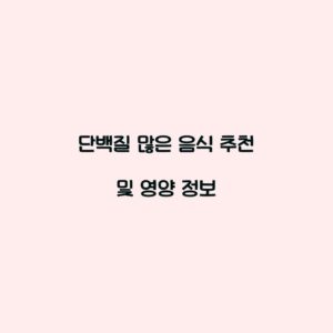 단백질 많은 음식 추천 및 영양 정보
