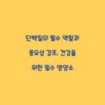 단백질의 필수 역할과 중요성 강조, 건강을 위한 필수 영양소