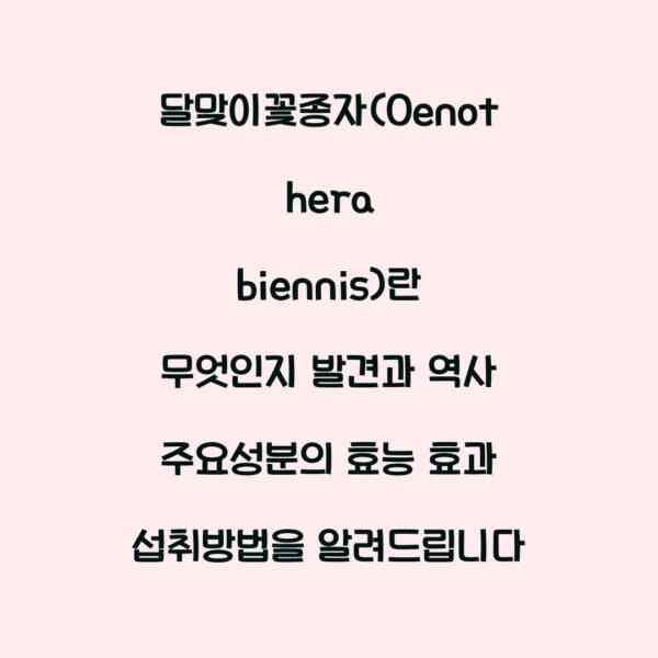 달맞이꽃종자(Oenothera biennis)란 무엇인지 발견과 역사 주요성분의 효능 효과 섭취방법을 알려드립니다