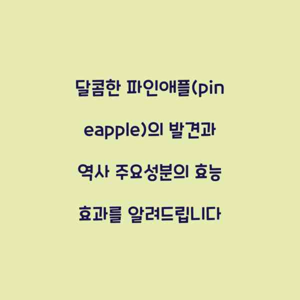 달콤한 파인애플(pineapple)의 발견과 역사 주요성분의 효능 효과를 알려드립니다