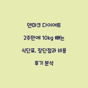 덴마크 다이어트 2주만에 10kg 빼는 식단표, 장단점과 비용 후기 분석