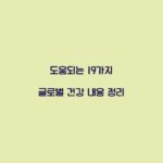도움되는 19가지 글로벌 건강 내용 정리