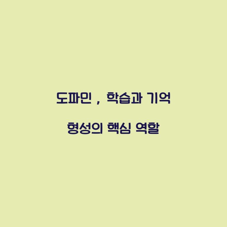 도파민 , 학습과 기억 형성의 핵심 역할