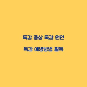 독감 증상 독감 원인 독감 예방방법 필독