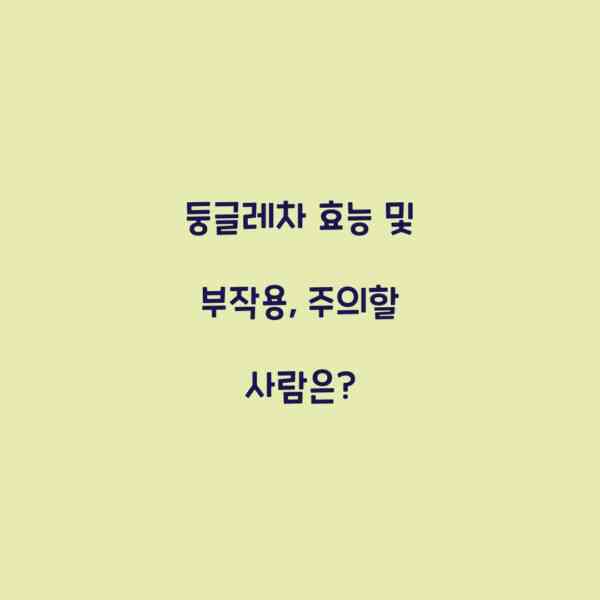 둥글레차 효능 및 부작용, 주의할 사람은?