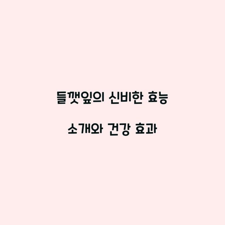 들깻잎의 신비한 효능 소개와 건강 효과