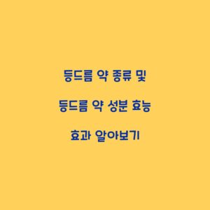 등드름 약 종류 및 등드름 약 성분 효능 효과 알아보기