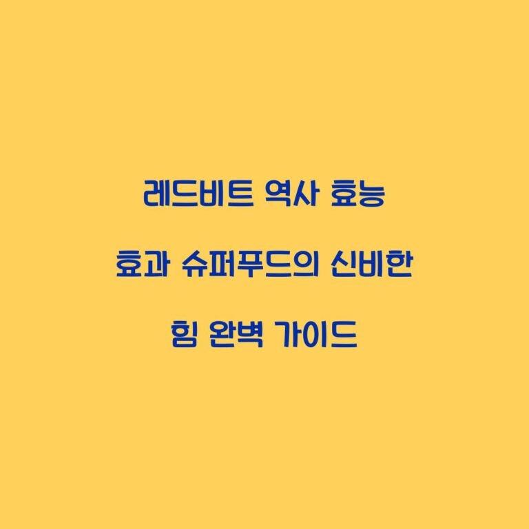 레드비트 역사 효능 효과 슈퍼푸드의 신비한 힘 완벽 가이드