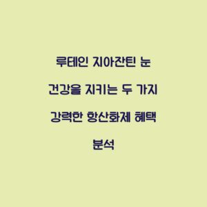 루테인 지아잔틴 눈 건강을 지키는 두 가지 강력한 항산화제 혜택 분석