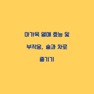 마가목 열매 효능 및 부작용, 술과 차로 즐기기