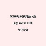 마그비맥스연질캡슐 성분 효능 효과에 대해 알아봐요