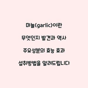 마늘(garlic)이란 무엇인지 발견과 역사 주요성분의 효능 효과 섭취방법을 알려드립니다