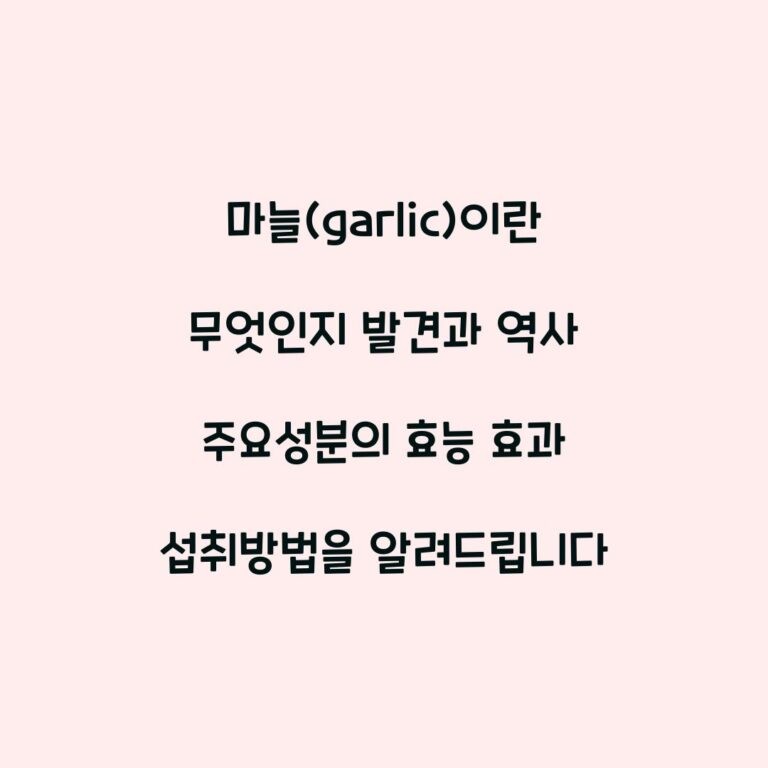 마늘(garlic)이란 무엇인지 발견과 역사 주요성분의 효능 효과 섭취방법을 알려드립니다