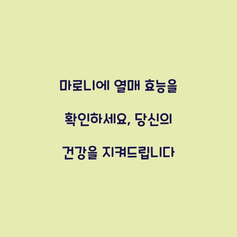 마로니에 열매 효능을 확인하세요, 당신의 건강을 지켜드립니다