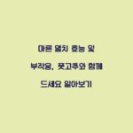 마른 멸치 효능 및 부작용, 풋고추와 함께 드세요 알아보기