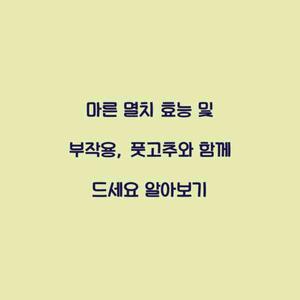 마른 멸치 효능 및 부작용, 풋고추와 함께 드세요 알아보기