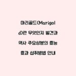 마리골드(Marigold)란 무엇인지 발견과 역사 주요성분의 효능 효과 섭취방법 안내