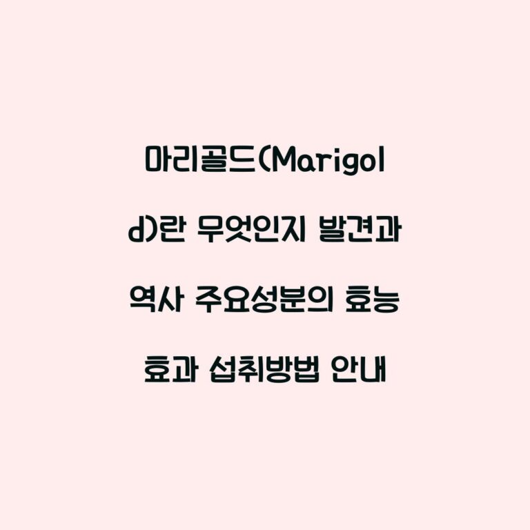 마리골드(Marigold)란 무엇인지 발견과 역사 주요성분의 효능 효과 섭취방법 안내