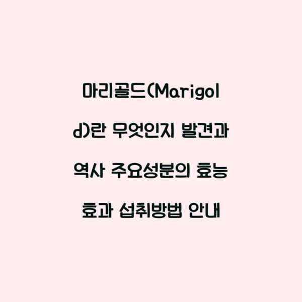 마리골드(Marigold)란 무엇인지 발견과 역사 주요성분의 효능 효과 섭취방법 안내