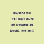 매독 발견과 역사 그리고 매독의 증상 및 매독 치료방법에 대해 알아봐요, 완벽 가이드
