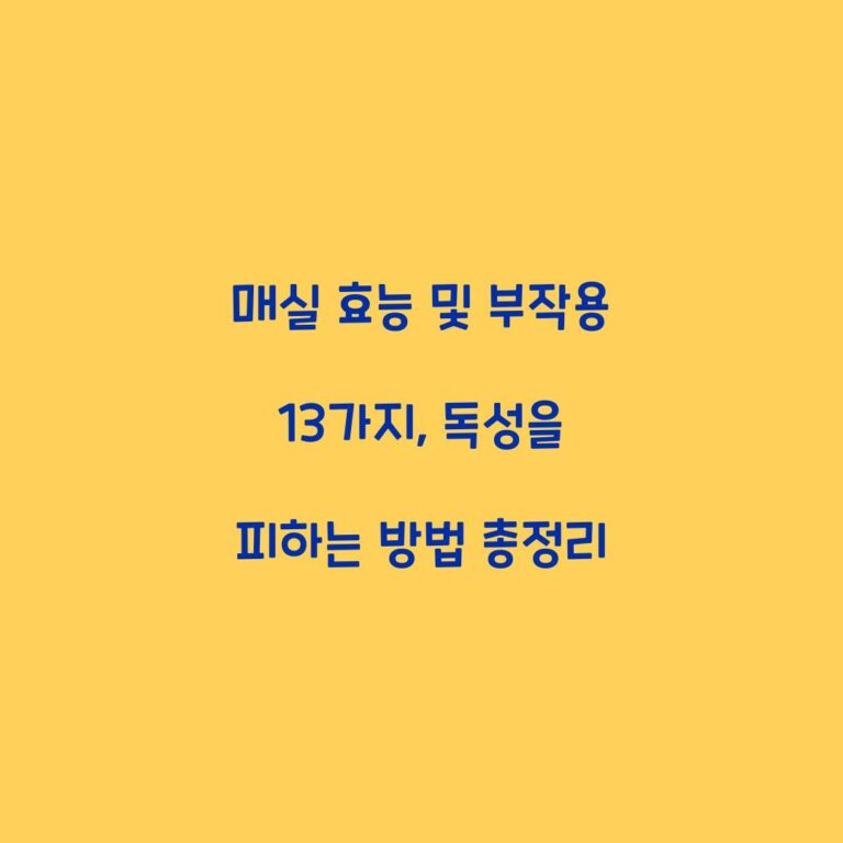 매실 효능 및 부작용 13가지, 독성을 피하는 방법 총정리