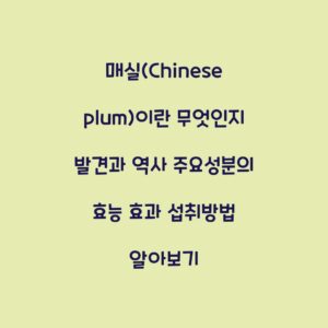 매실(Chinese plum)이란 무엇인지 발견과 역사 주요성분의 효능 효과 섭취방법 알아보기