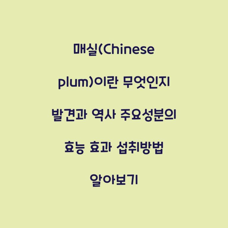 매실(Chinese plum)이란 무엇인지 발견과 역사 주요성분의 효능 효과 섭취방법 알아보기