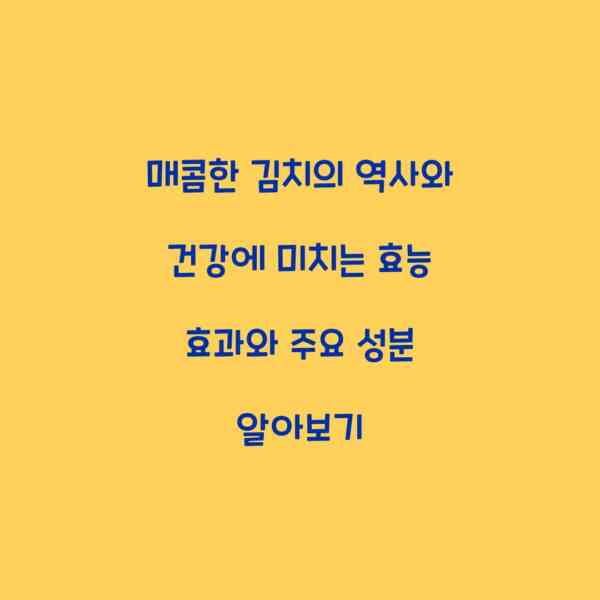 매콤한 김치의 역사와 건강에 미치는 효능 효과와 주요 성분 알아보기