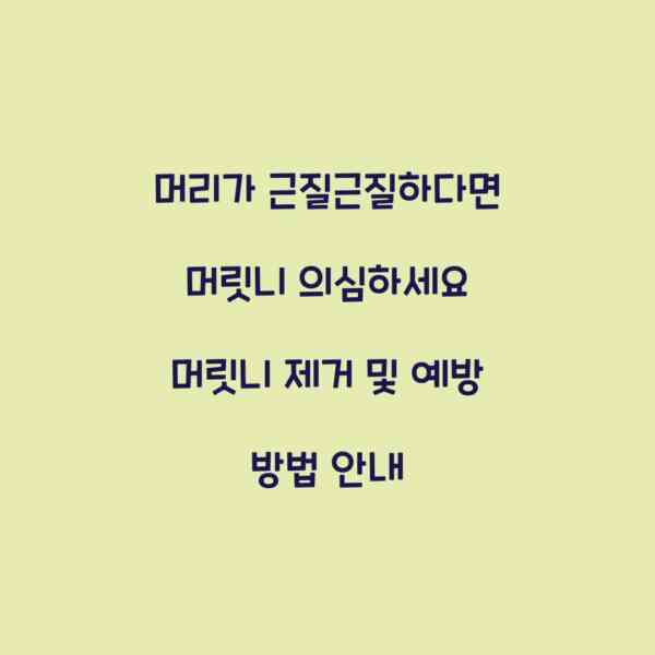 머리가 근질근질하다면 머릿니 의심하세요 머릿니 제거 및 예방 방법 안내