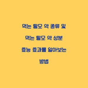 먹는 탈모 약 종류 및 먹는 탈모 약 성분 효능 효과를 알아보는 방법